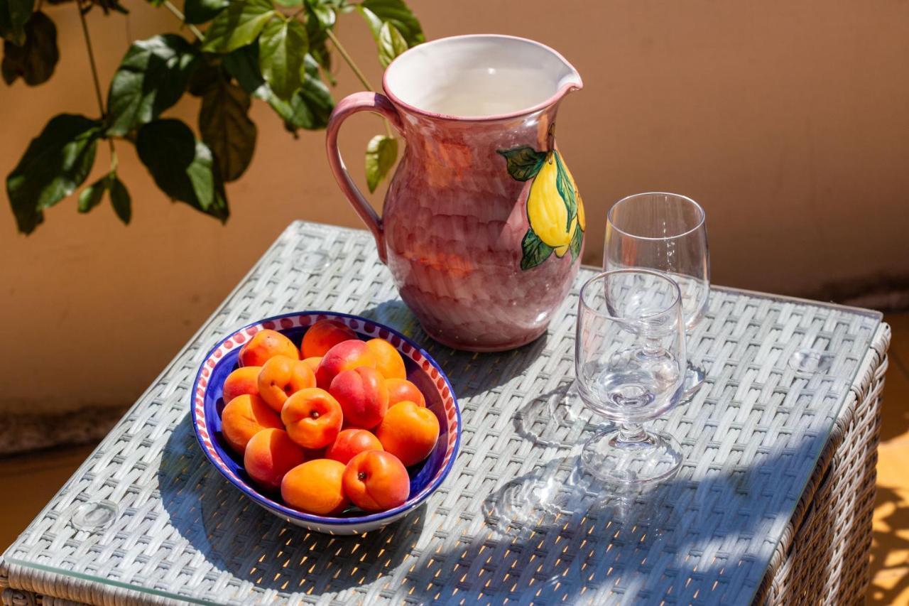 Il Pettirosso In Casa vacanze *