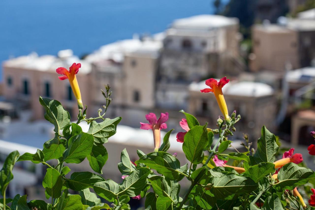 Casa vacanze Il Pettirosso In
